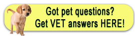 pet library banner